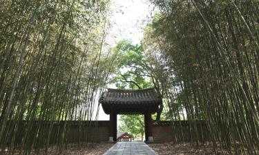 전주 호텔