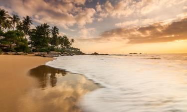 Tangalle Beach 내 호텔