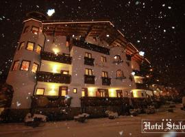 산 마르티노 디 카스트로짜에 위치한 호텔 Hotel Stalon Alpine Chic