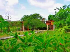 Sigiri Royal Point Tree House