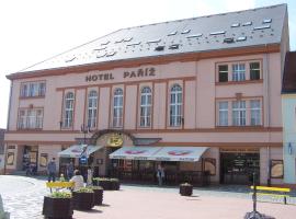 이친에 위치한 호텔 Hotel Paříž