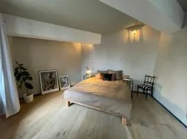 Mulhouse City Loft