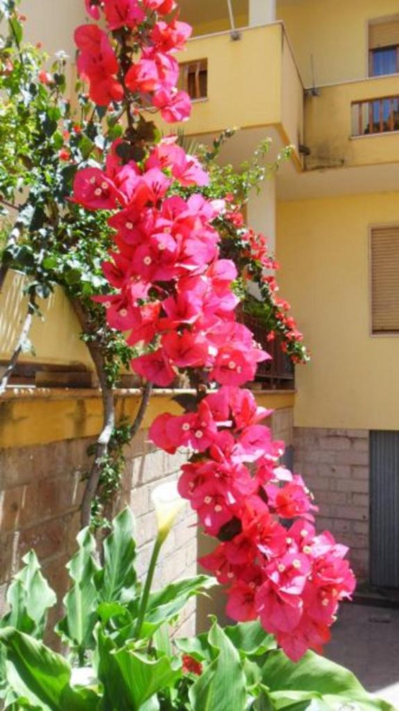 Al Trentados ad Alghero - Accogliente B&B vicino al mare