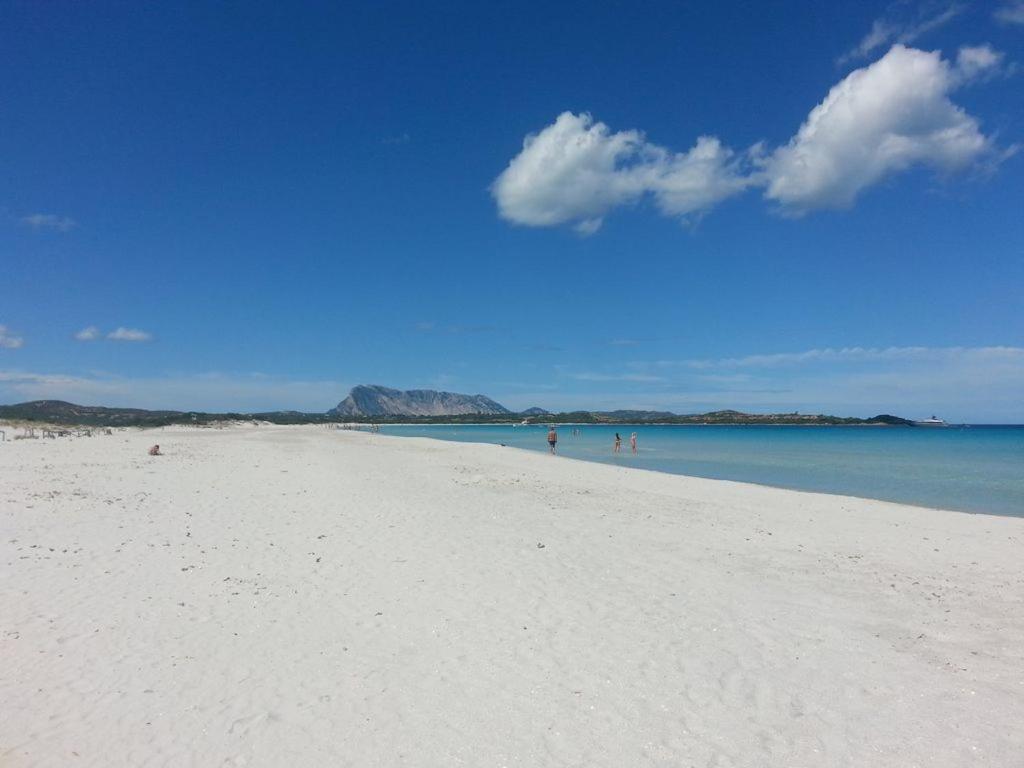 Casa Vacanze a San Teodoro - Accogliente con barbecue