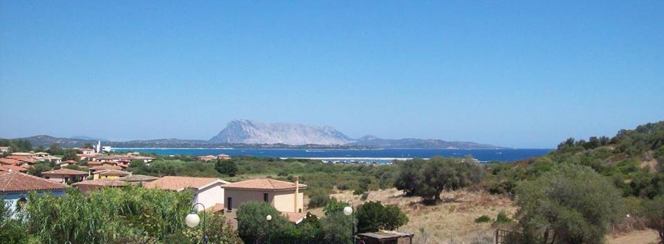 Nonna Antonietta a San Teodoro - Splendido panorama