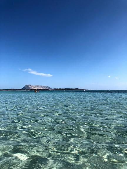 Bilocale Residence Gli Ulivi a San Teodoro - Centrale Appartamento
