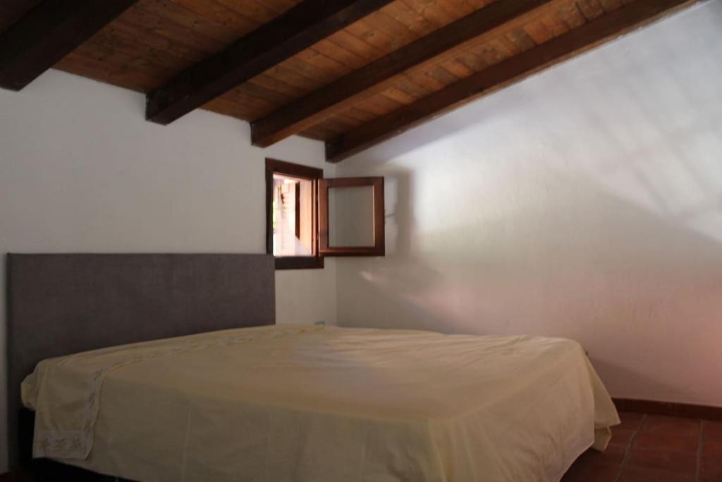 Appartamento a San Teodoro - Centralissimo con terrazza