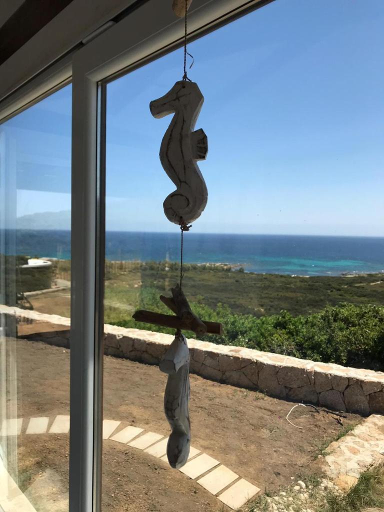 Villa Costa Caddu a San Teodoro - Lusso Fronte Mare