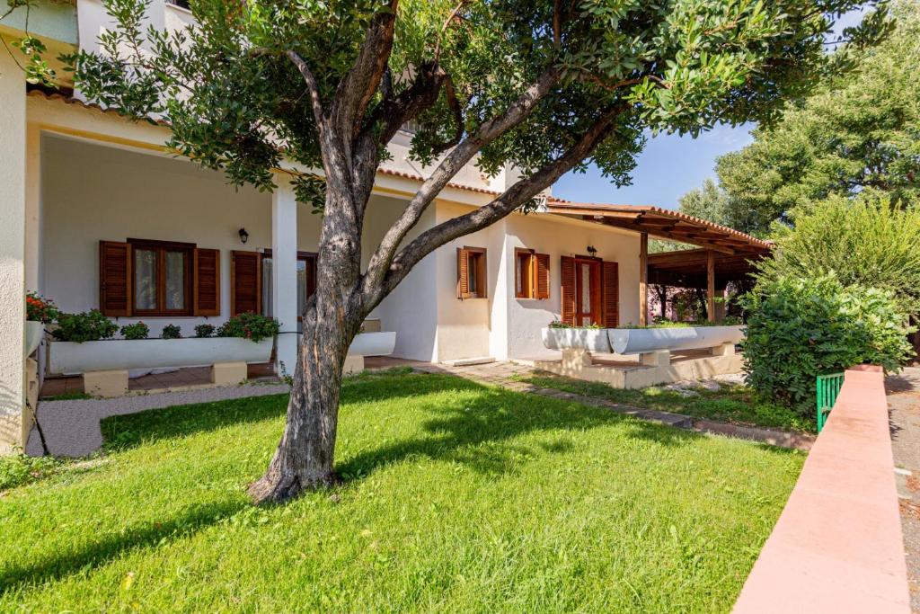 Le Canne a San Teodoro - Appartamenti vicino al mare