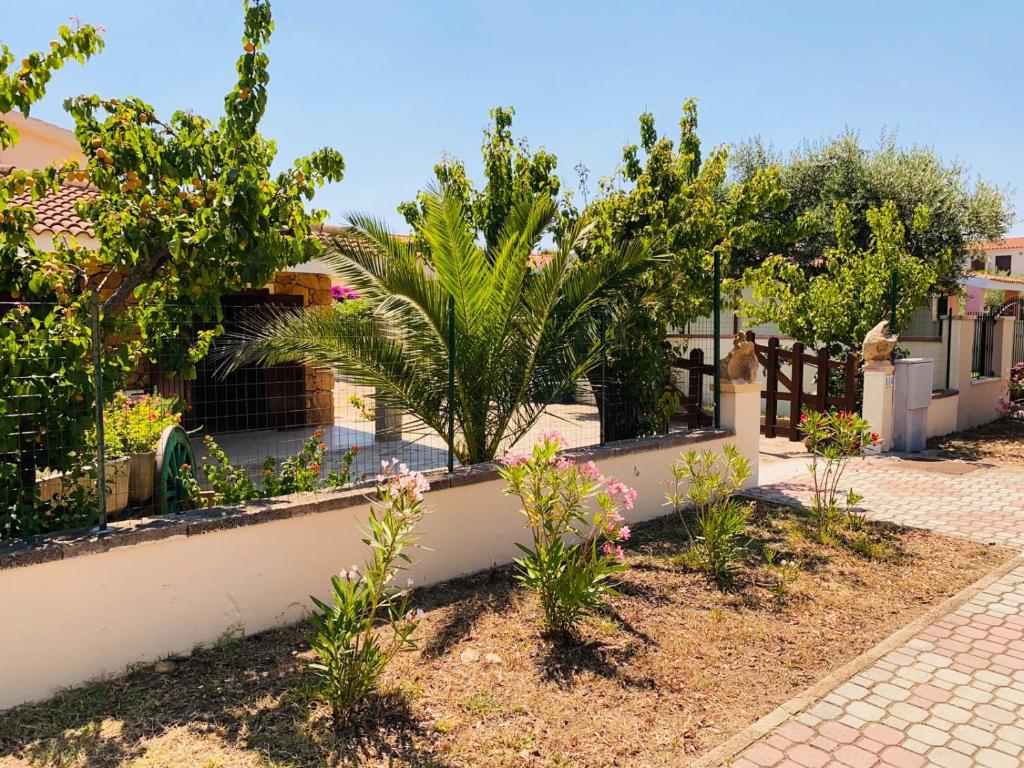 Residence La Cinta 8 a San Teodoro - Oasi vicino al mare