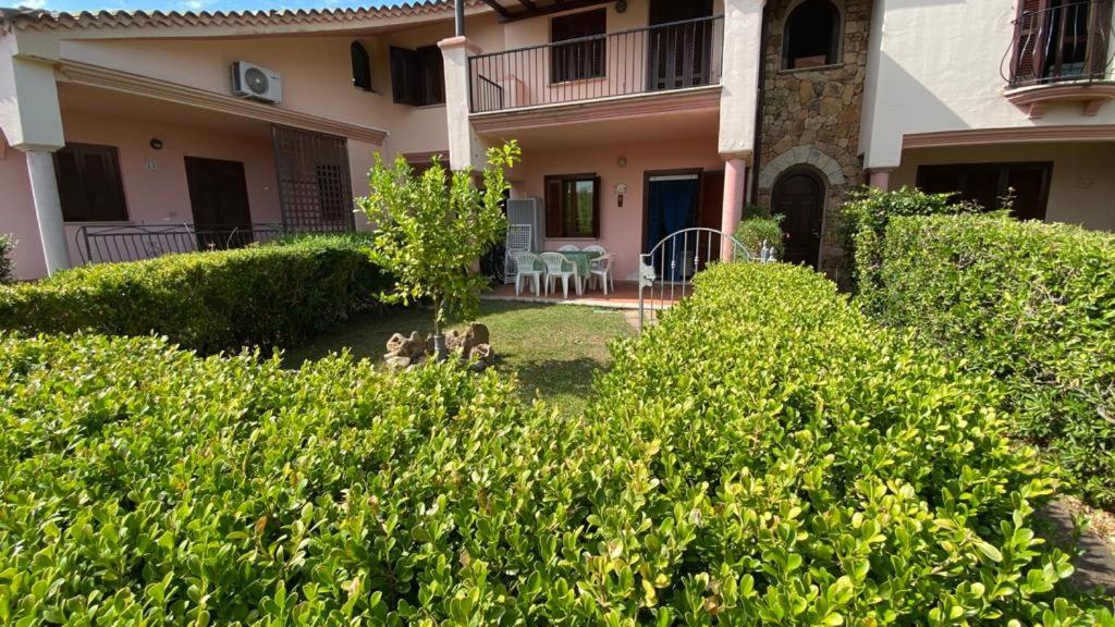 Villino Fenicotteri a San Teodoro - Casa vicino La Cinta