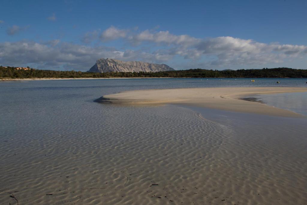 Belvedere a San Teodoro - Romantico Monolocale sul Mare