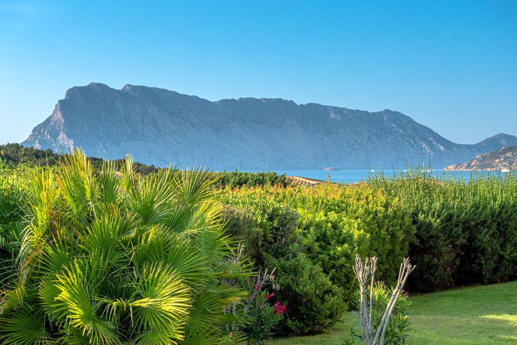 Appartamento a San Teodoro - Paradiso a 200m dal mare