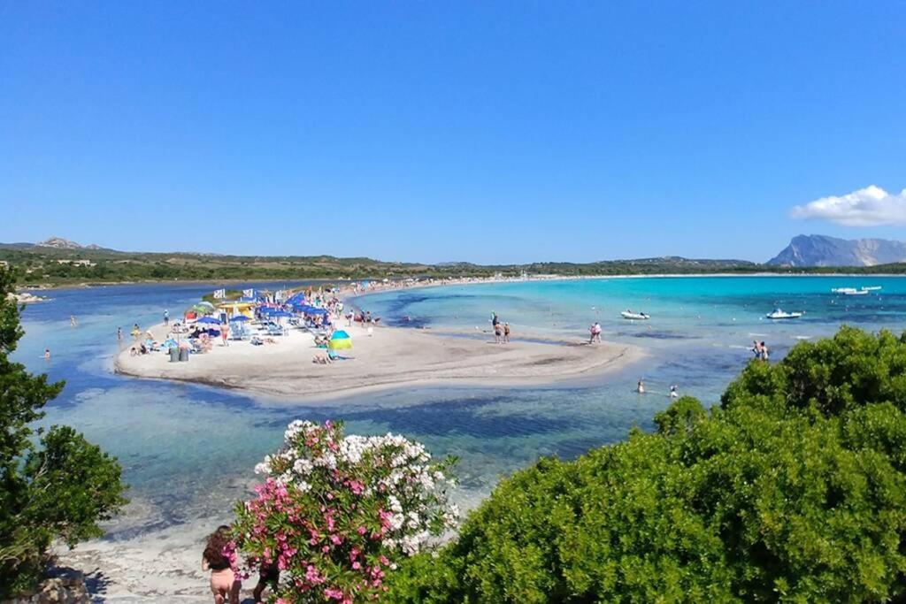 Villetta Irene a San Teodoro - Accogliente Casa
