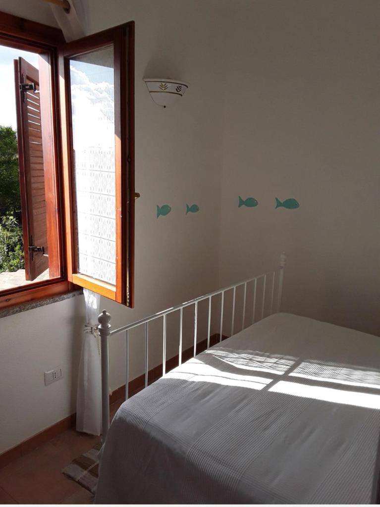 Il Canneto a San Teodoro - Accogliente Casa nel Centro