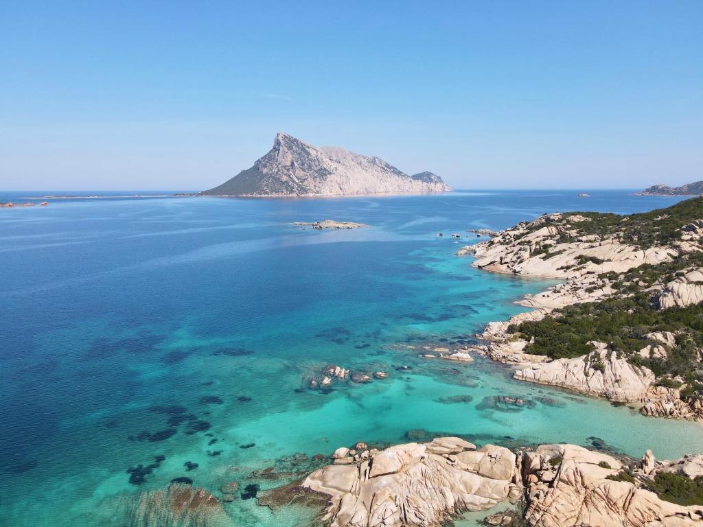 Trilocale Ponderosa - Spazioso con terrazza