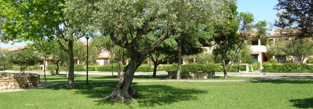 Bilocale a San Teodoro - Appartamento con terrazza