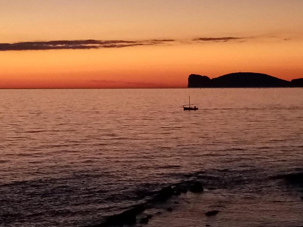Ninfa Alghero - Appartamento storico vicino spiaggia