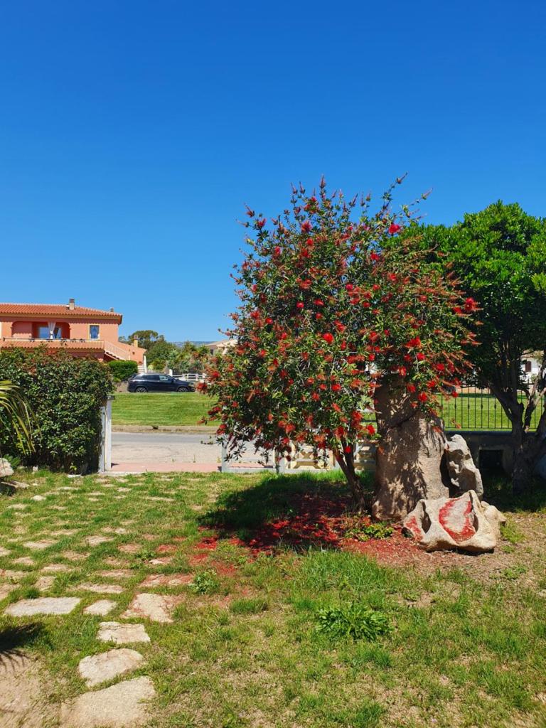Casa il Sole a San Teodoro - Rilassante casa vacanze