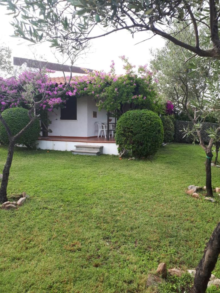 Villetta Bouganville a San Teodoro - Oasi con giardino