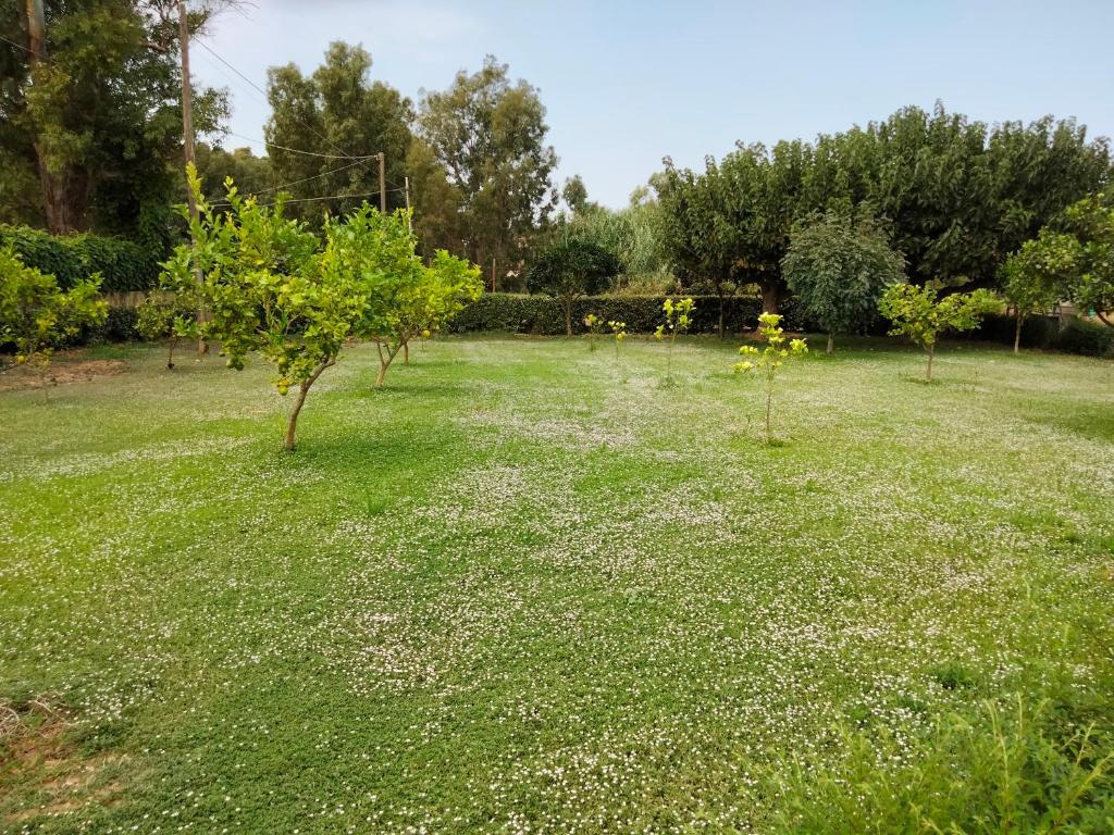 Il Doni del Mandorlo ad Alghero - Incantevole B&B con giardino