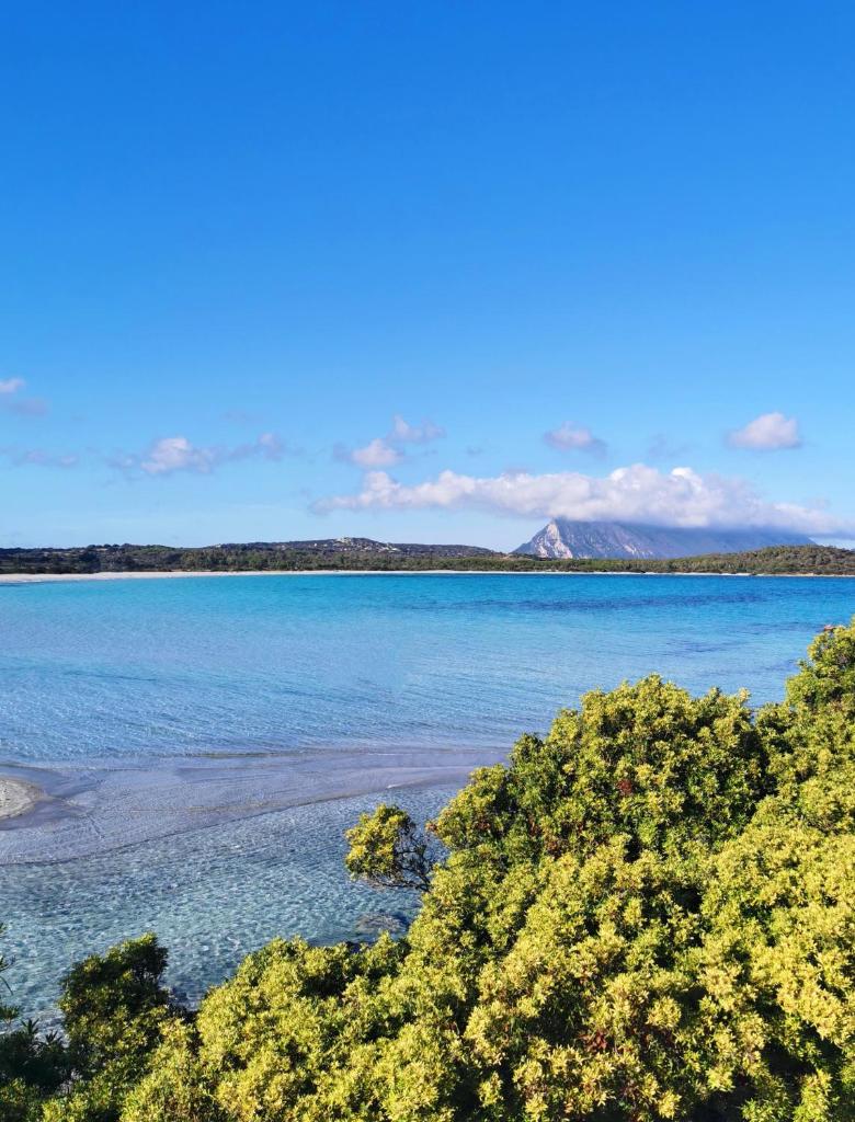 Lu Fraili a San Teodoro - Stupenda casa vista mare