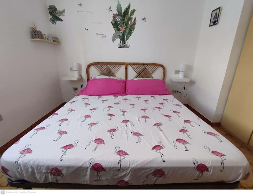 Casa Flamingo a San Teodoro - Incantevole Villa con Bici