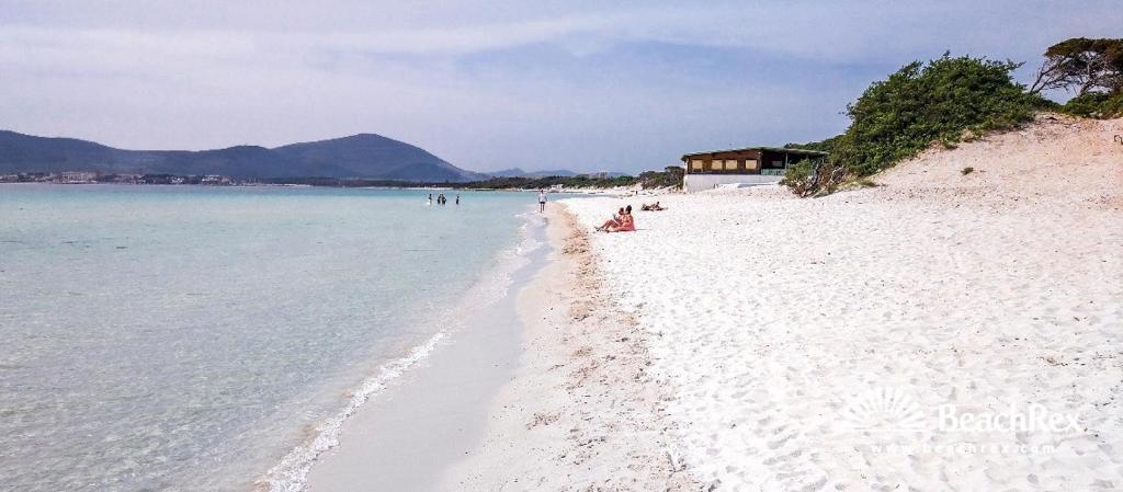 Casa d'Alguer ad Alghero - Moderno Appartamento Centrale