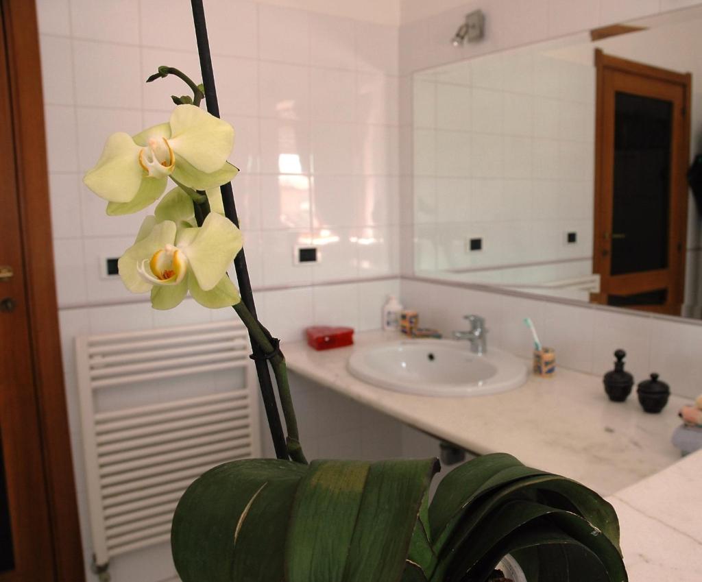 Liana Guest House ad Alghero - Incantevole B&B sul mare