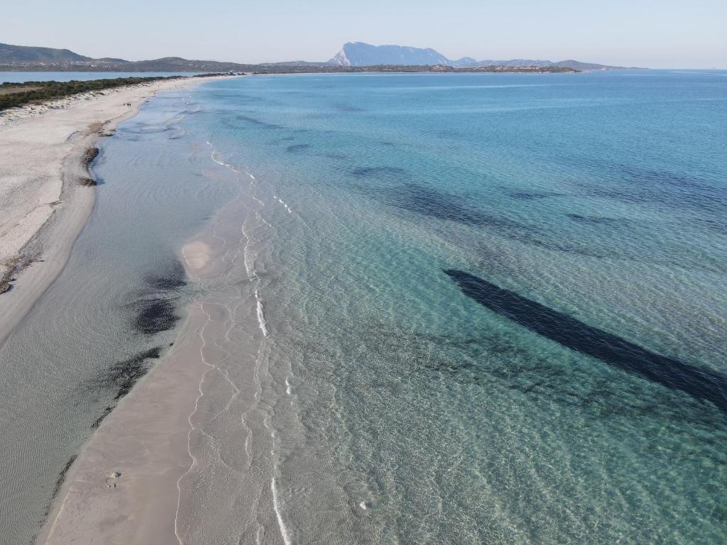 Appartamenti Via Torino a San Teodoro - Vicino al Mare