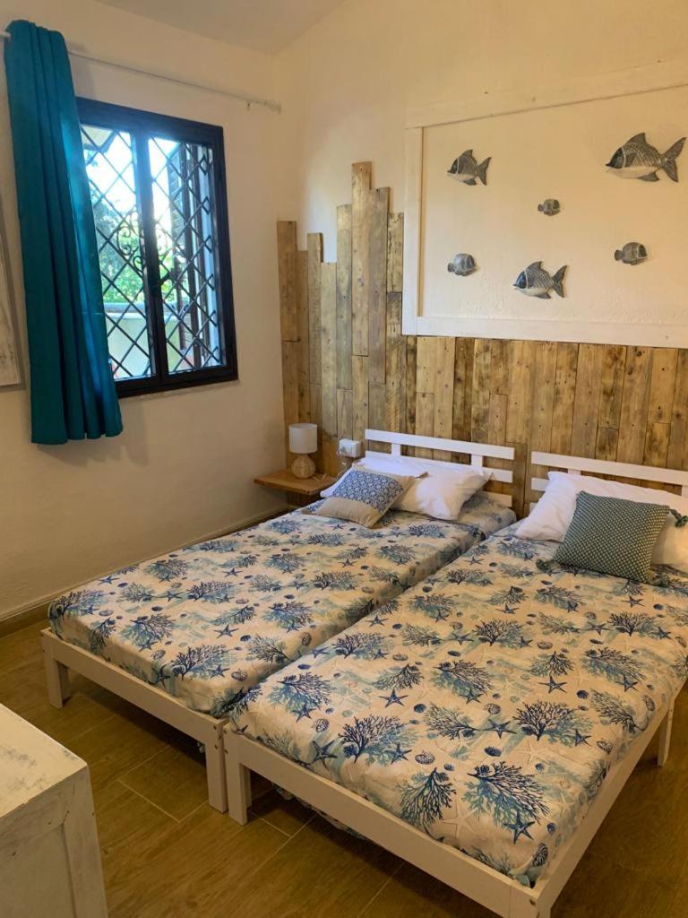 Camera La Cinta a San Teodoro - Accogliente alloggio