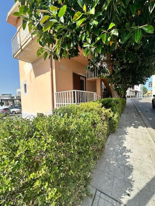 Ficus Room a San Teodoro - Appartamento nel cuore città