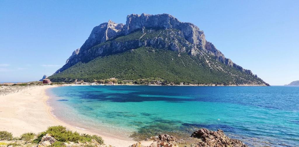 Stazzu Fioritu a San Teodoro - Appartamenti vista mare