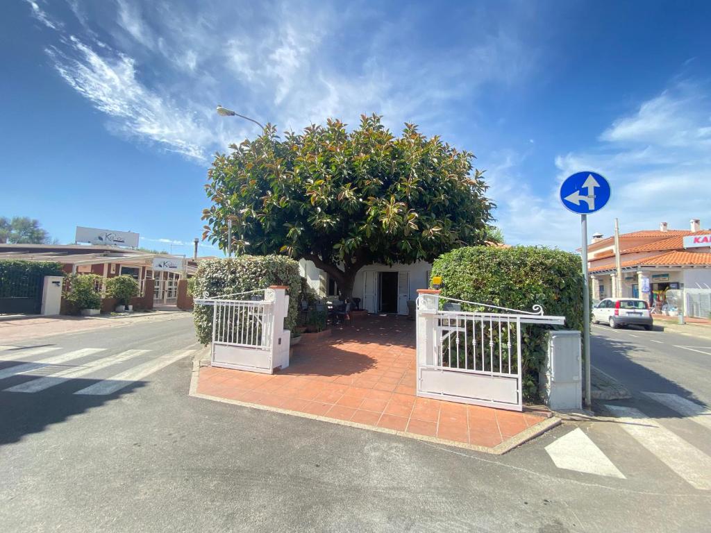 Tirreno 35 a San Teodoro - Comodo alloggio con terrazza