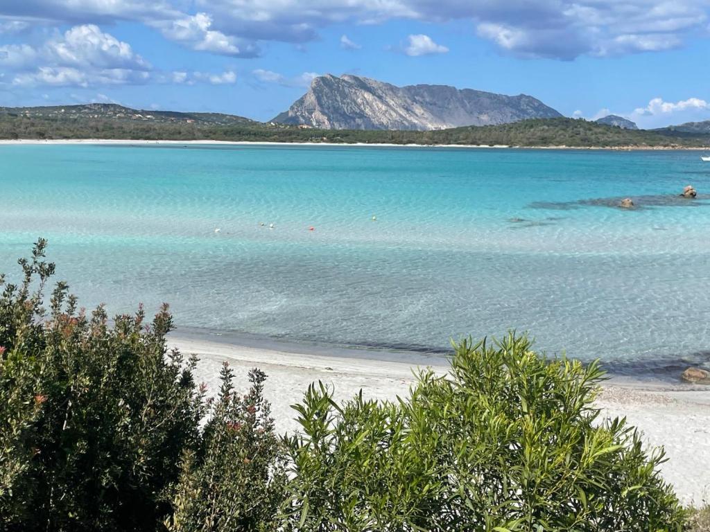 Sa Domo e Aurelia a San Teodoro - Lussuosi appartamenti