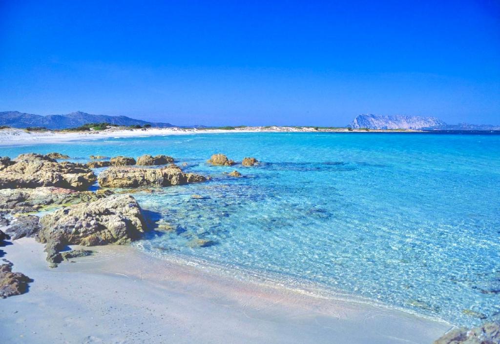 Coda Cavallo Cottages - Appartamenti vista mare