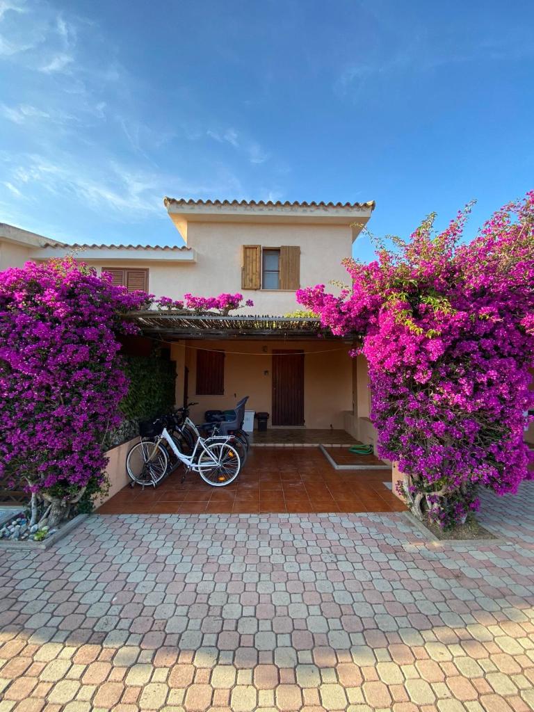 Appartamento a San Teodoro - Centrale con bici gratis