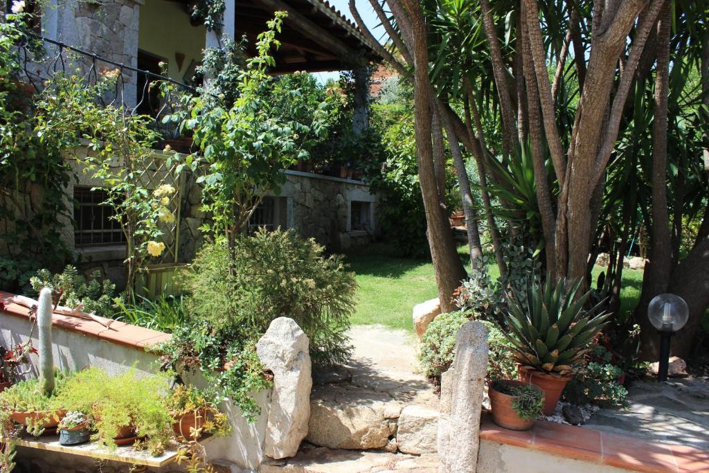 B&B Chorisia a San Teodoro - Oasi di relax con giardino