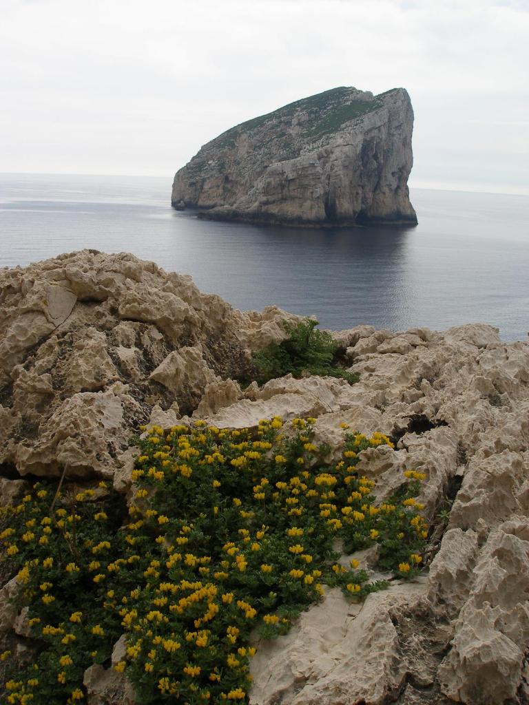 Giramondo ad Alghero - Accogliente affittacamere vicino al mare