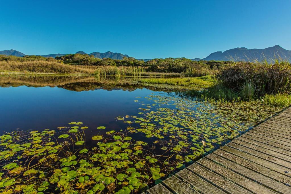 The Manor House at Fancourt - Image 34