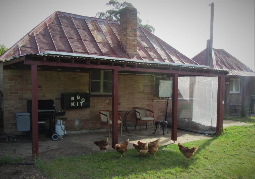 Fernbrook Cottage - Housity
