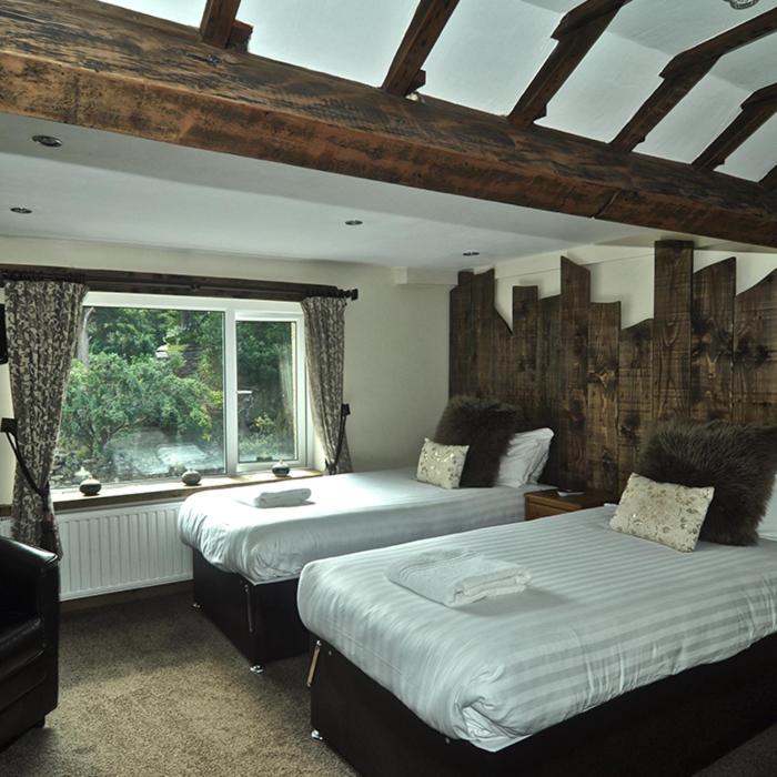 Comfortable Room