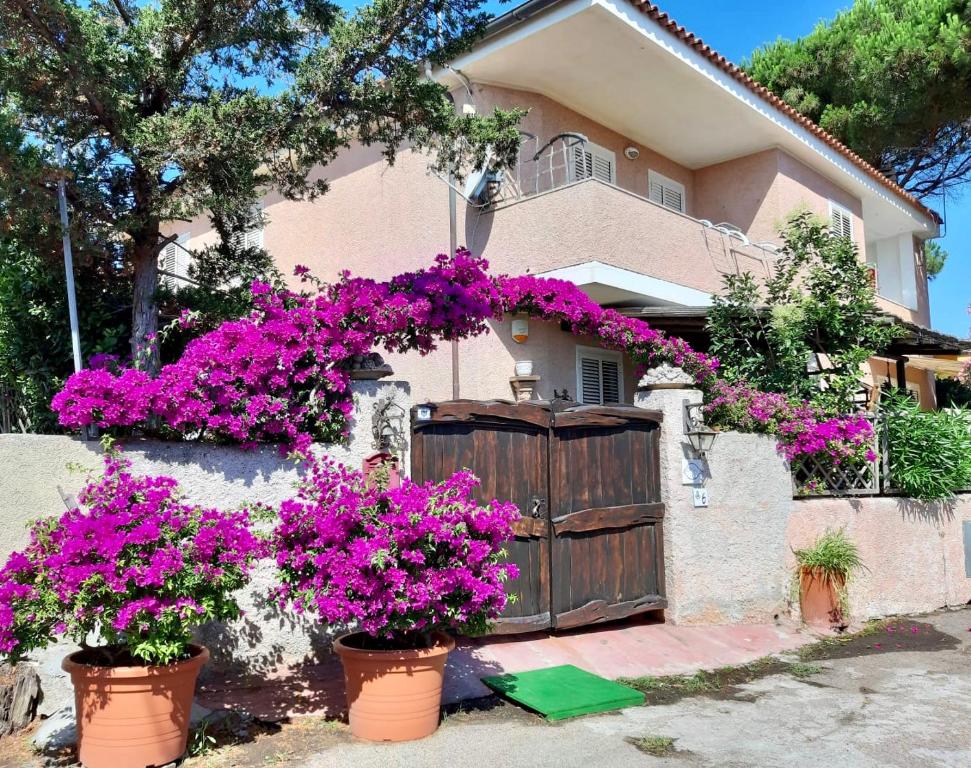 Casa Angelika a Porto Pozzo - Terrazza Fronte Mare