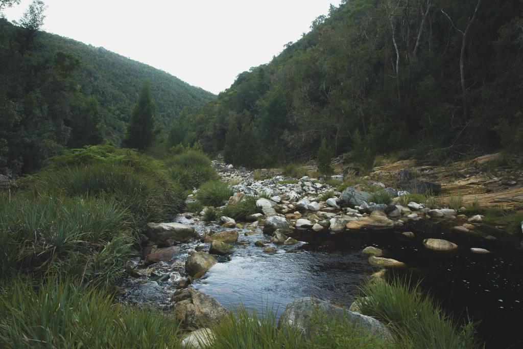 Teniqua Treetops - Image 14