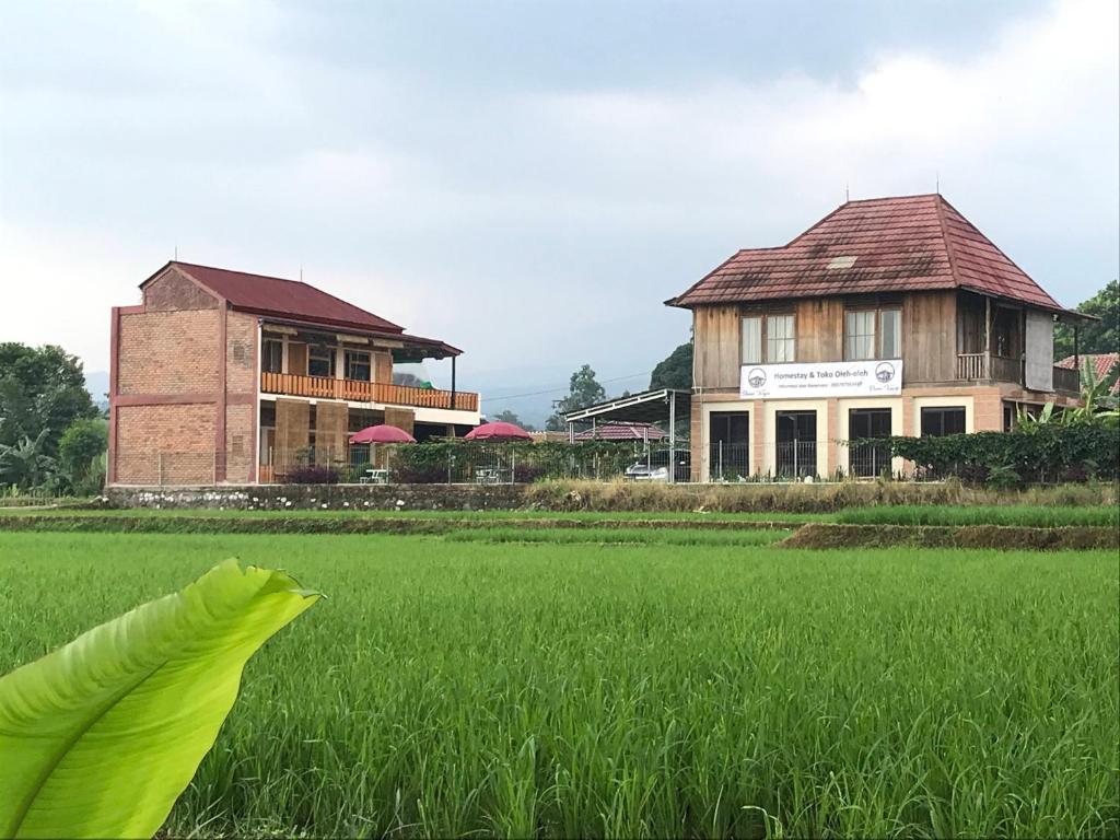 Homestay Syariah Bumi Kayu