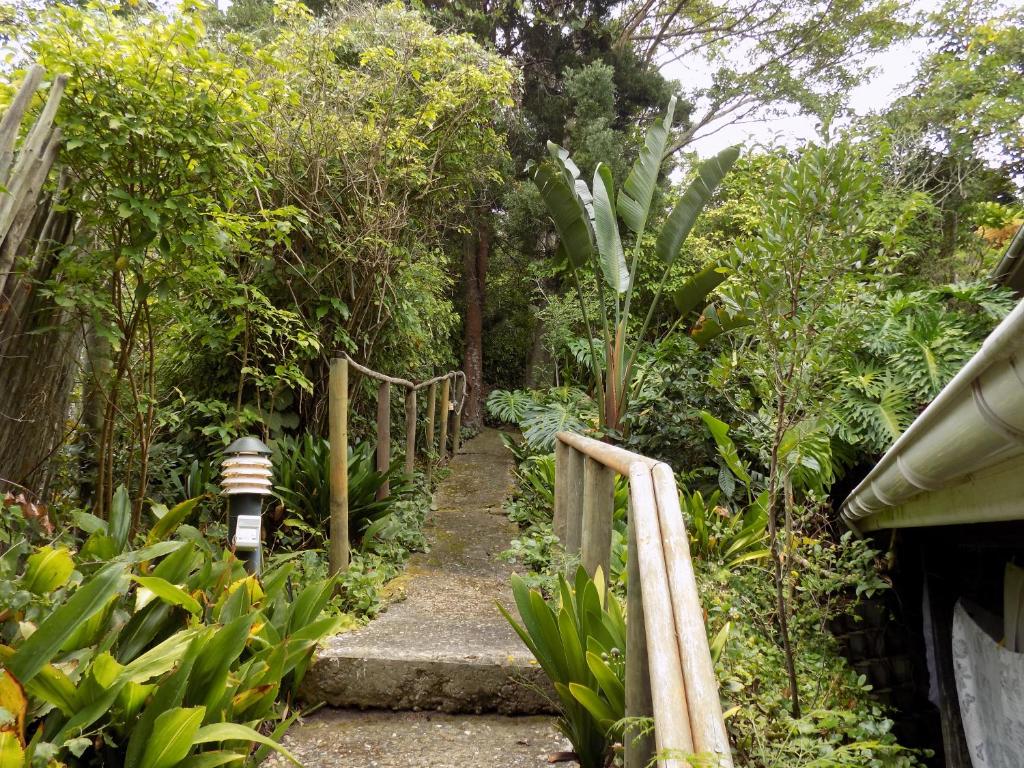 Protea Guest House - Image 18