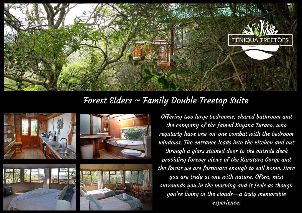 Teniqua Treetops - Image 21