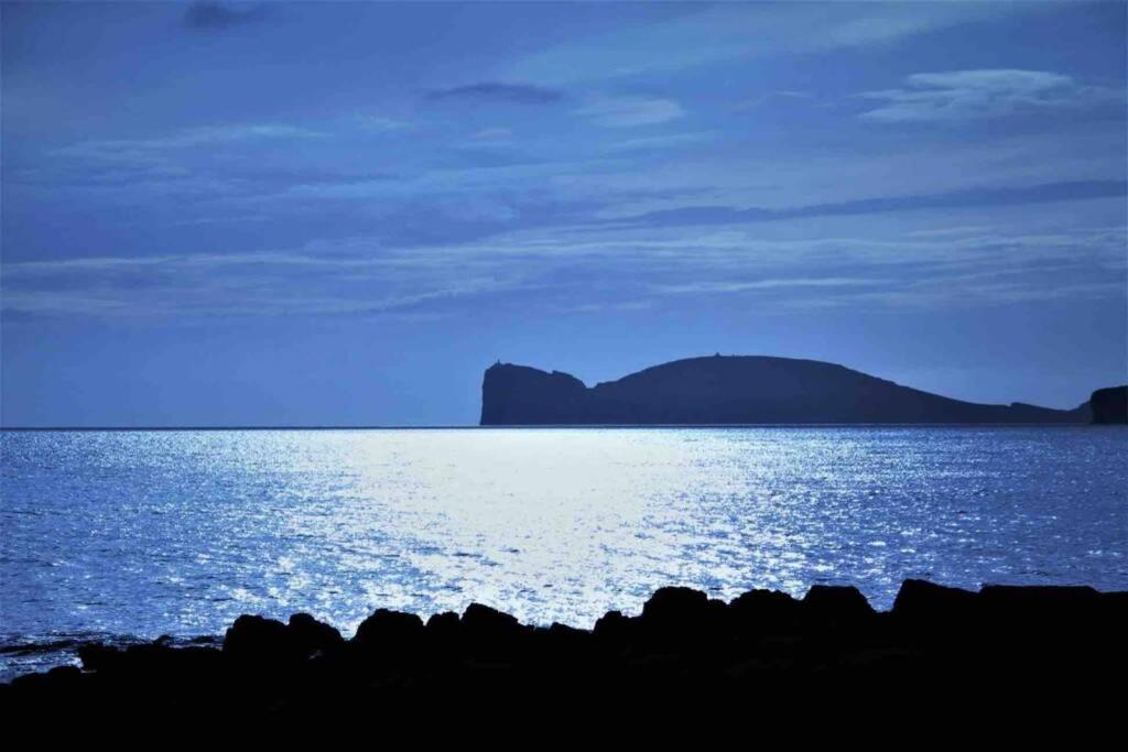 Alghero Sun & Sea - Lussuoso appartamento fronte mare
