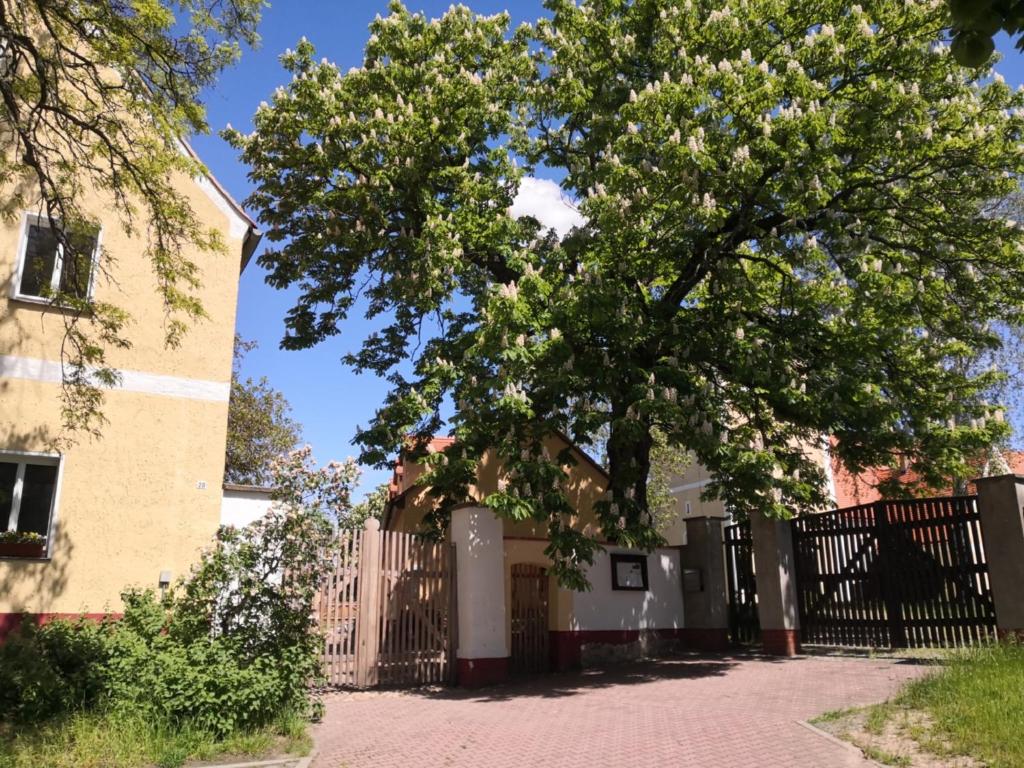 Gästehaus Liemehna - Housity