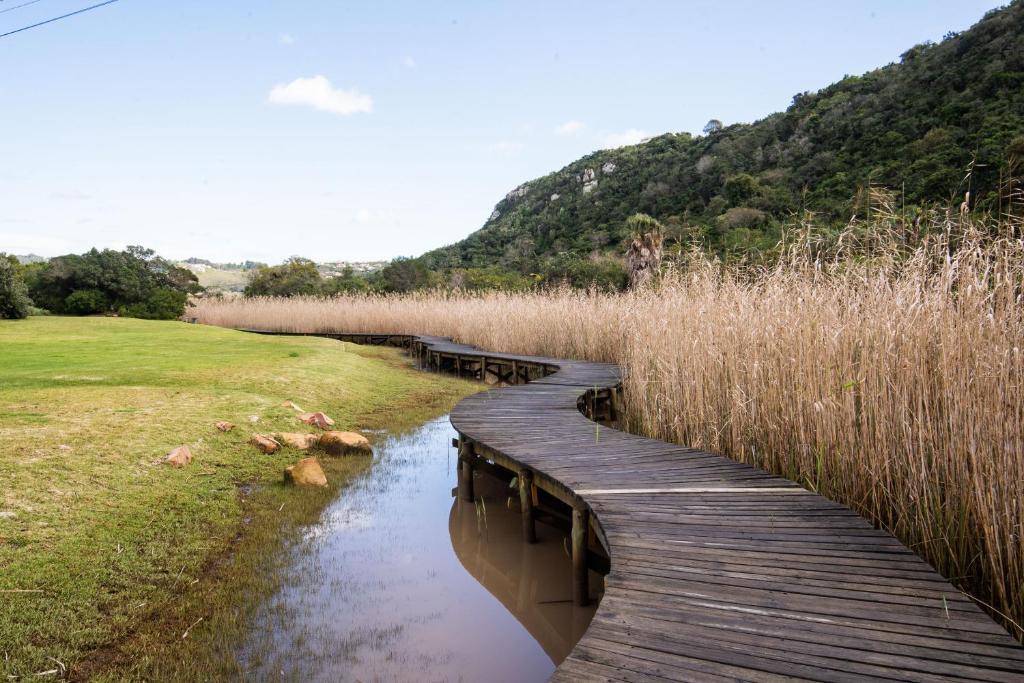Seven River Club Mews - Image 21